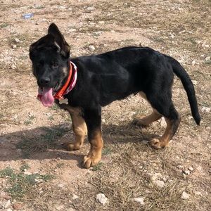 Meet your Posher, Lucero